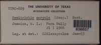 Image Associated With the Occurence